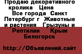 Продаю декоративного кролика › Цена ­ 500 - Все города, Санкт-Петербург г. Животные и растения » Грызуны и Рептилии   . Крым,Белогорск